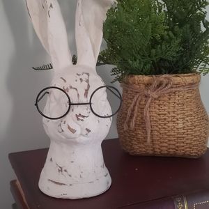 Rabbit with glasses Bunny with glasses Einstein rabbit with glasses